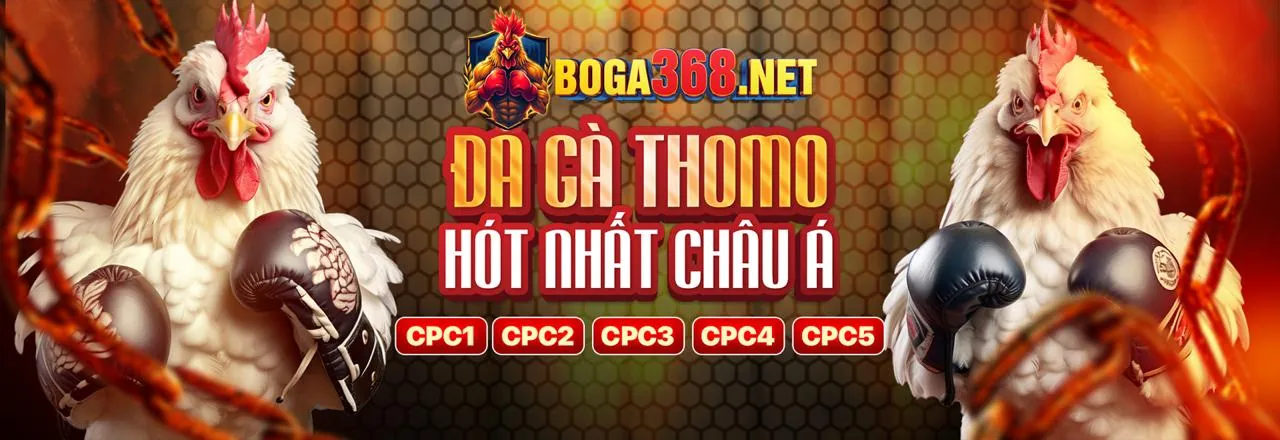 Thưởng Nạp Lại Hàng Ngày Cá Cược Thể Thao